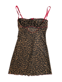 lencero cheetah